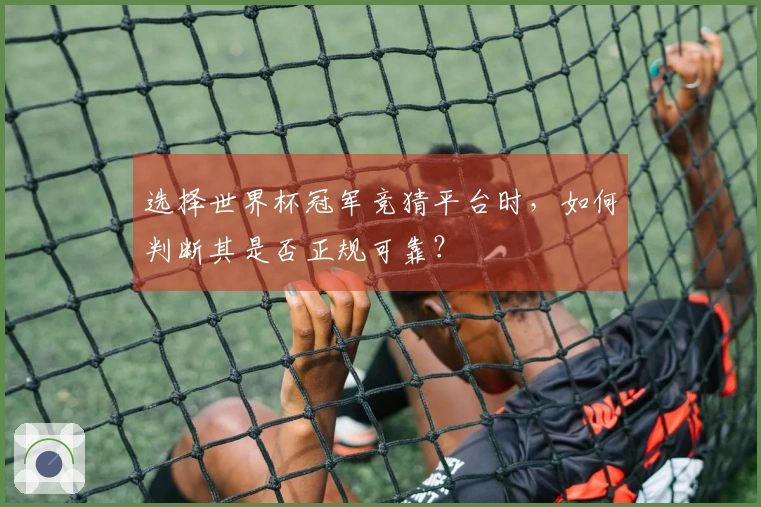 选择世界杯冠军竞猜平台时，如何判断其是否正规可靠？